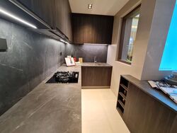 Klimt Cairnhill (D9), Apartment #362156371
